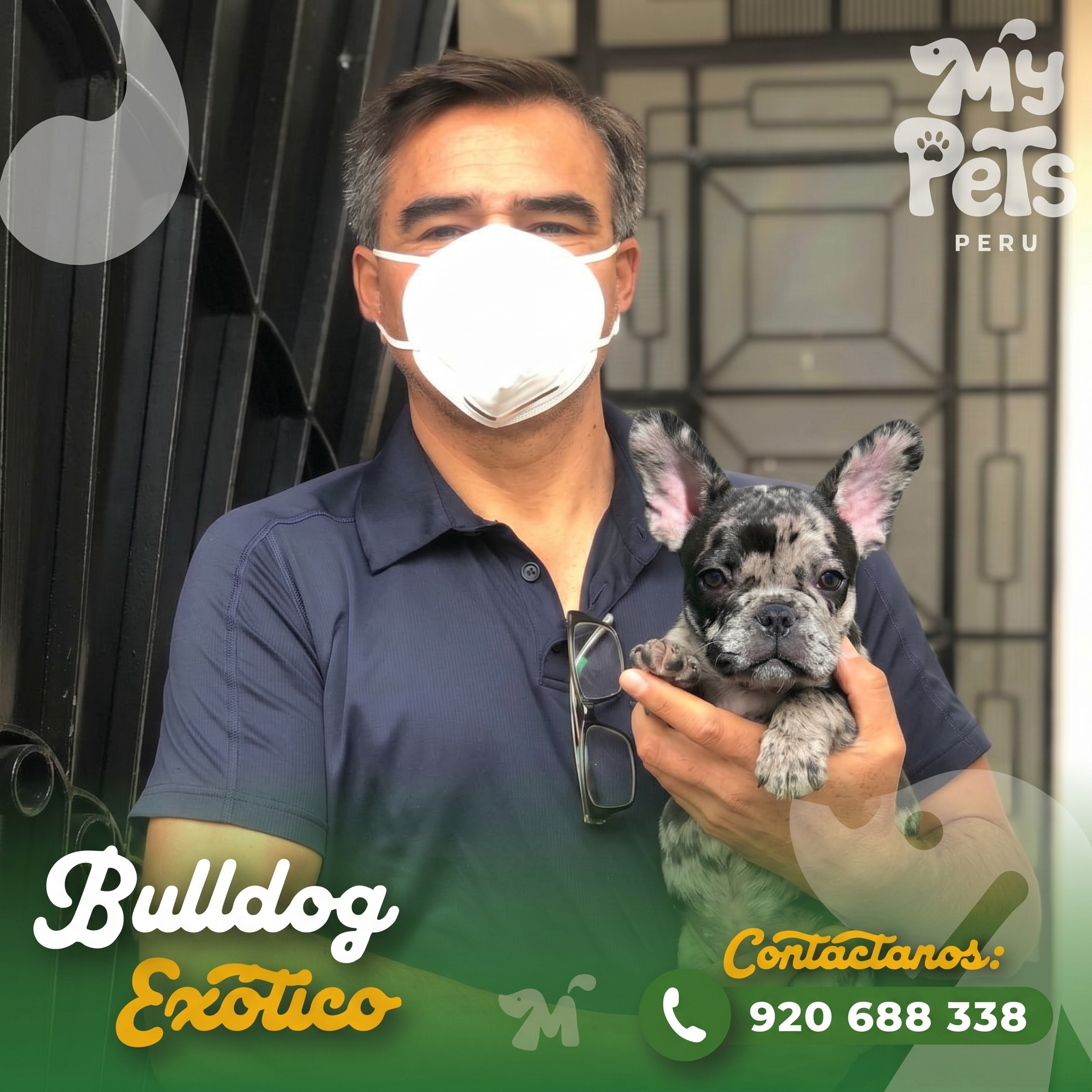 Familia feliz con su Bulldog Ex&oacute;tico