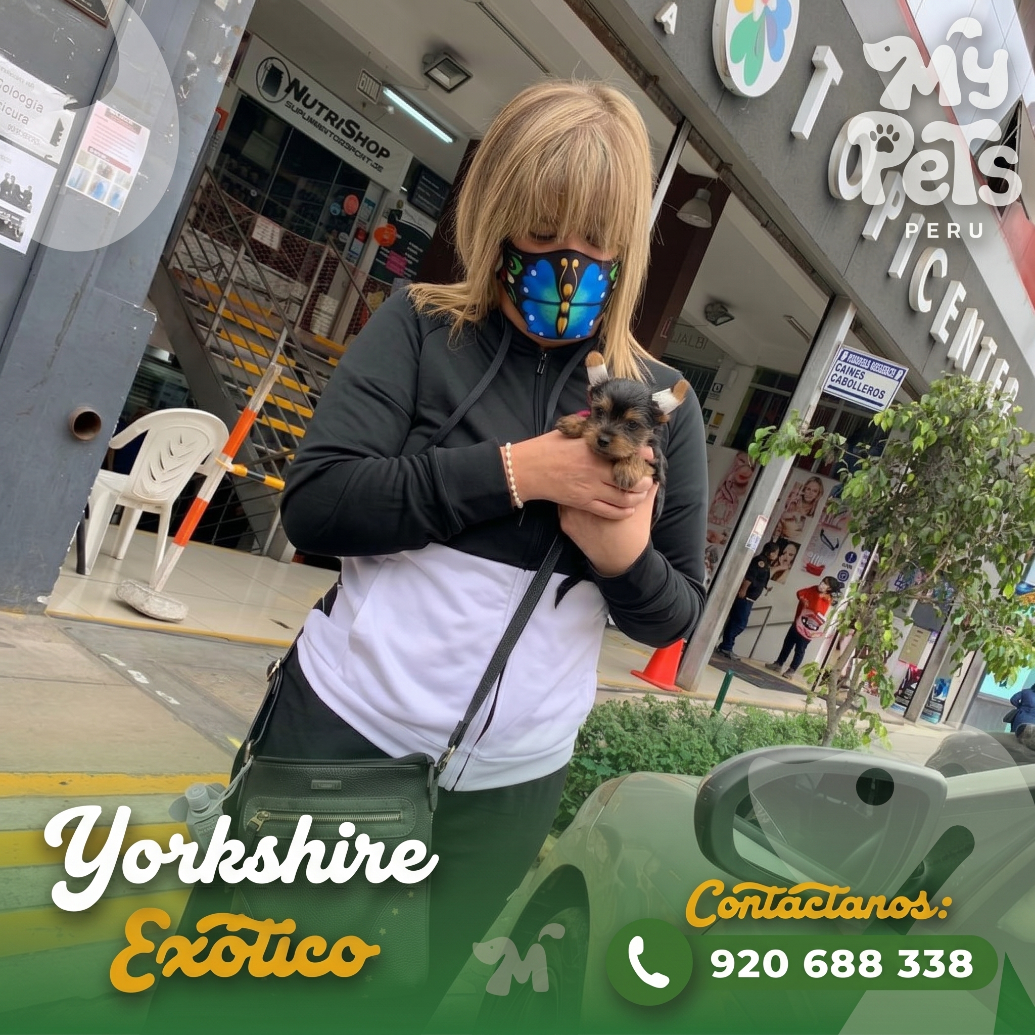 Familia feliz con su Yorkshire Ex&oacute;tico